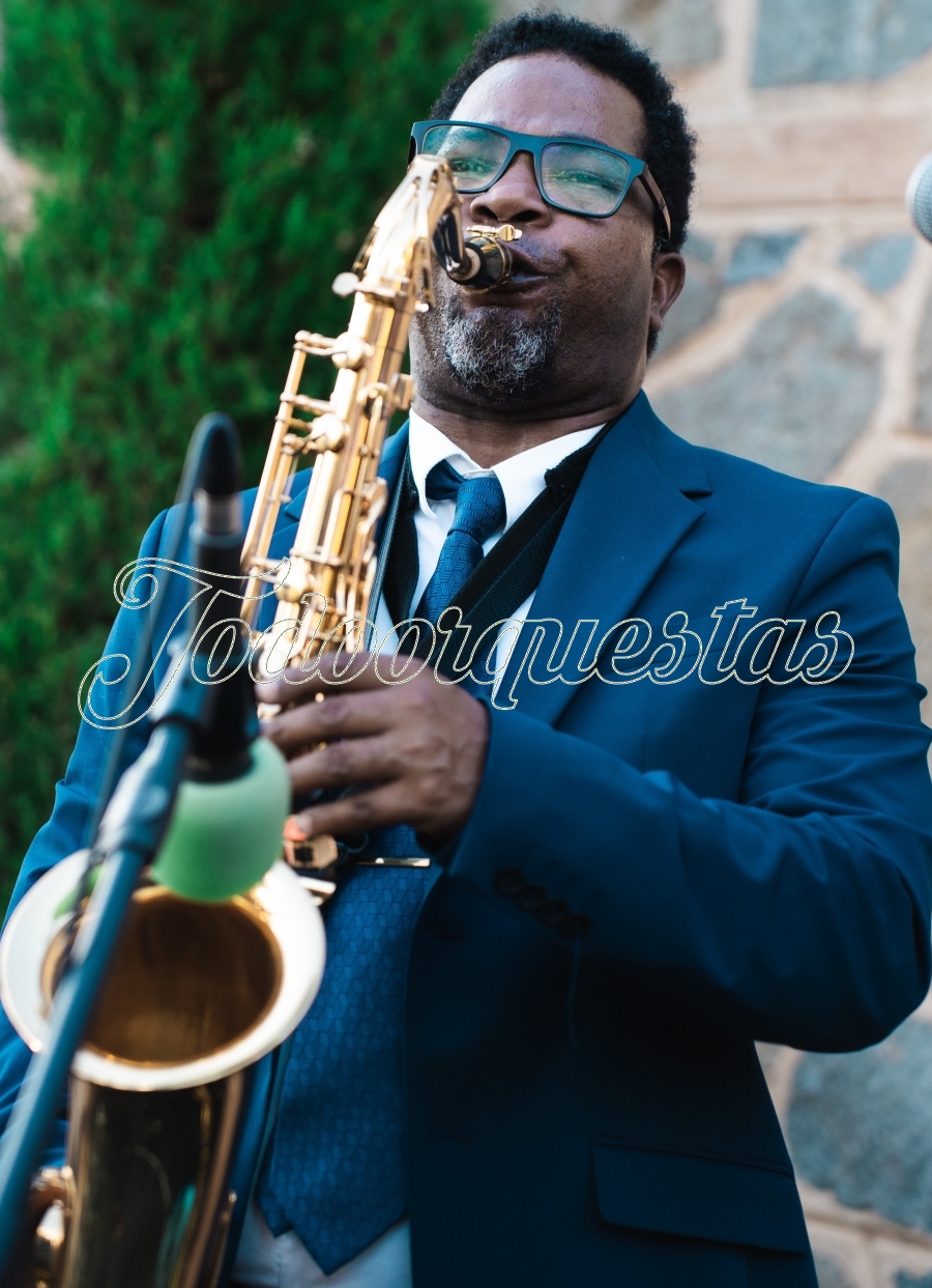 Saxofonista Disponible Para zona centro, alto y tenor
