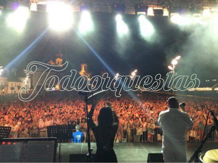 BAJISTA PROFESIONAL